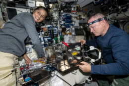 Starliner pilot Sunita Williams and commander Barry Butch Wilmore